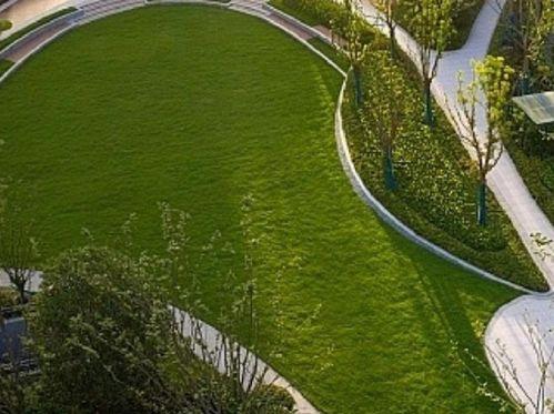 临平公园爆料最新消息今天,揭秘今日热点事件！”